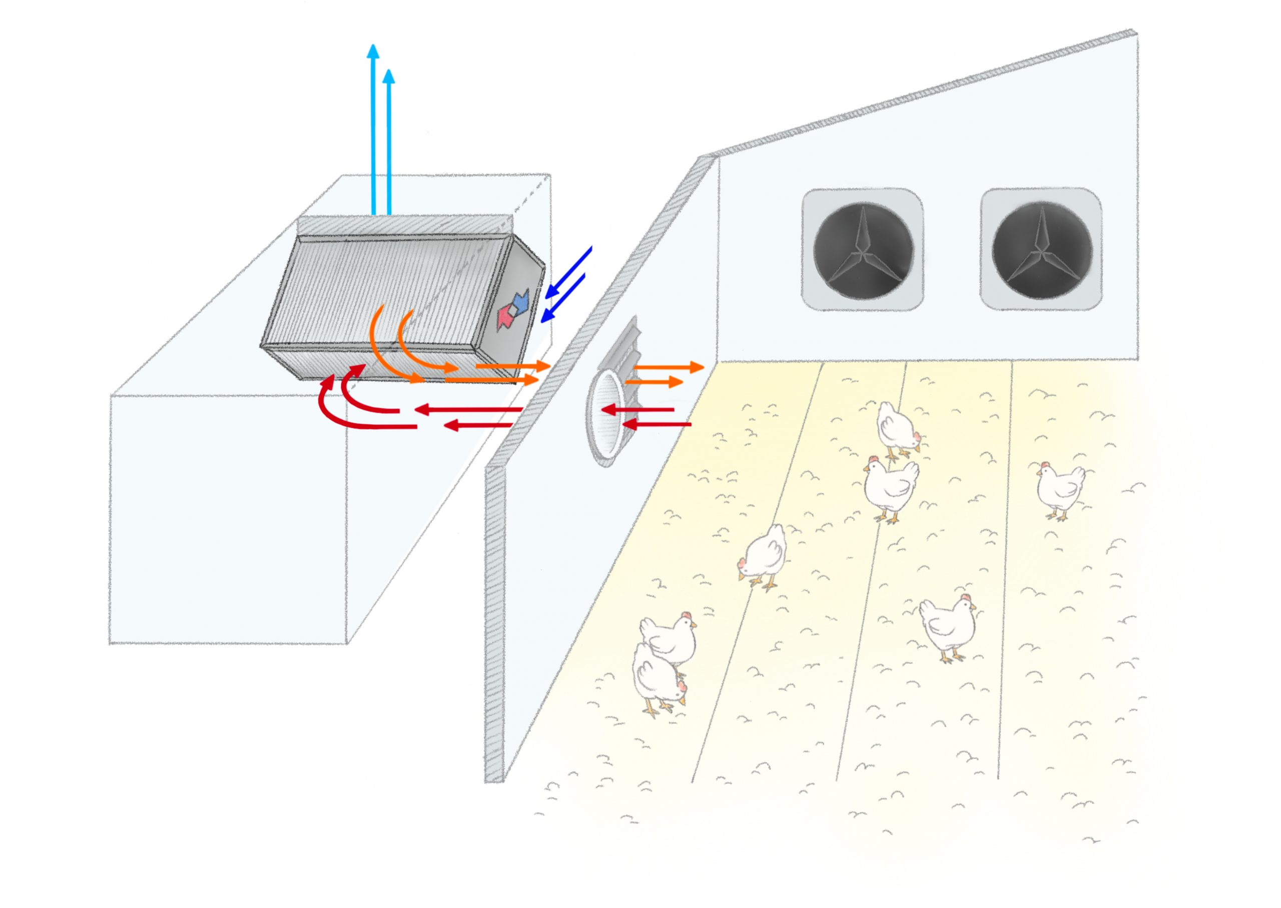 Poultry farm layout with dampers and heat recovery unit